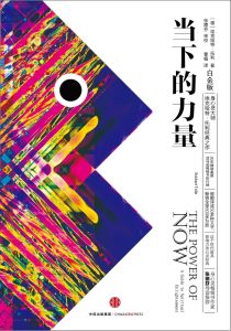 《当下的力量（白金版）》封面